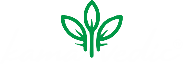 Kamavedic Wellness